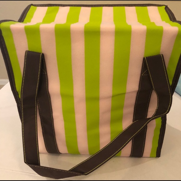 Publix reusable Insulated cooler bag nwt - Picture 4 of 5